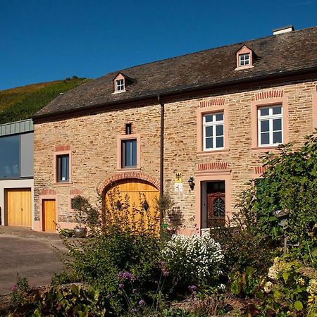 Altes Loerscher Winzerhaus Меринг Екстериор снимка