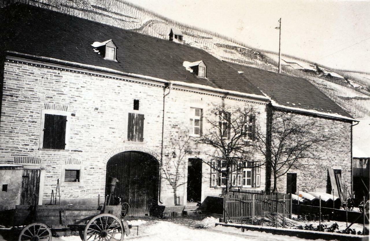 Altes Loerscher Winzerhaus Меринг Екстериор снимка